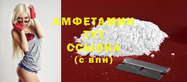дмт Бородино