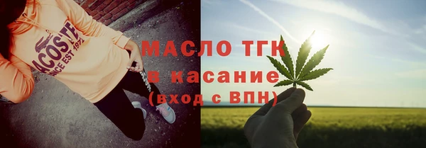 дмт Бородино