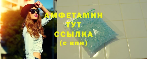 дмт Бородино