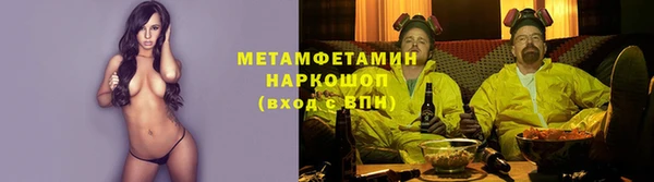 дмт Бородино