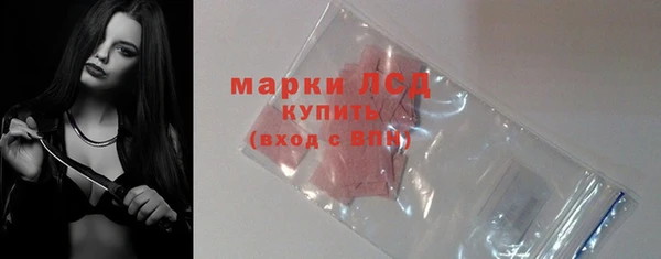 дмт Бородино