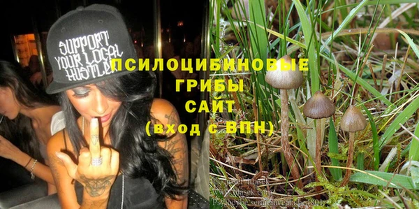 ешки Бугульма