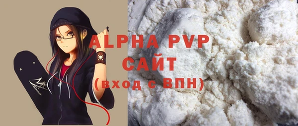 дмт Бородино